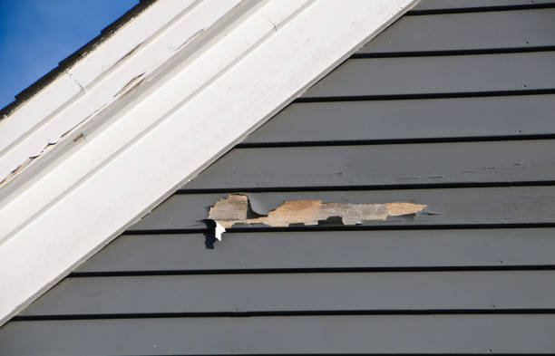 Best Custom Trim and Detailing for Siding  in Laurel Hill, VA